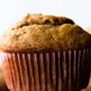 Meet your Posher, Gus